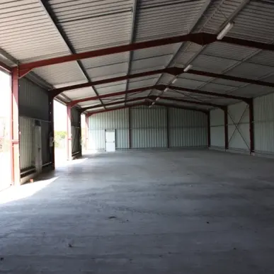 Vente Entrepôt / Local d'activités - Tournus (71700)-photo-4