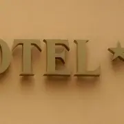 Vente - Hôtel - Flace les macon (71000)