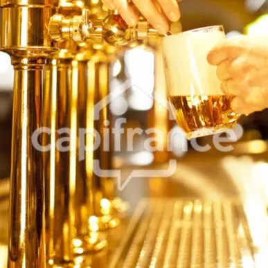 Vente - Bar - Brasserie - Cauterets (65110)-photo-1