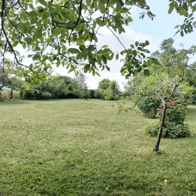 Vente Terrain ZI / ZA - Chevry-en-Sereine (77710)-photo-2