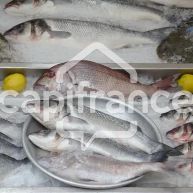 Vente - Poissonnerie - Pont-l'Abbé (29120)-photo-1