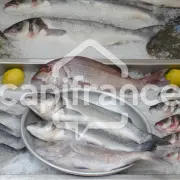 Vente - Poissonnerie - Pont-l'Abbé (29120)