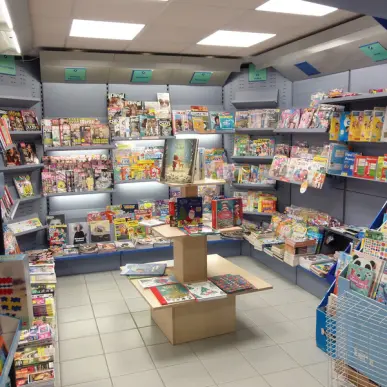 Vente - Librairie - Presse - Finistère (29)-photo-2