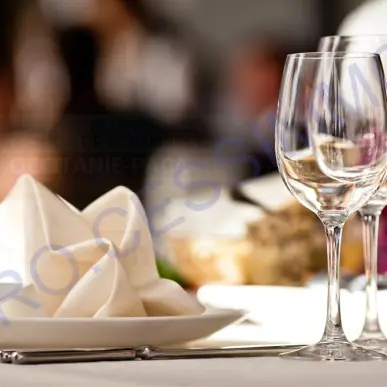 Vente - Brasserie - Restaurant du midi - Hérault (34)-photo-2
