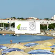 Vente - Habillement - Charente-Maritime (17)