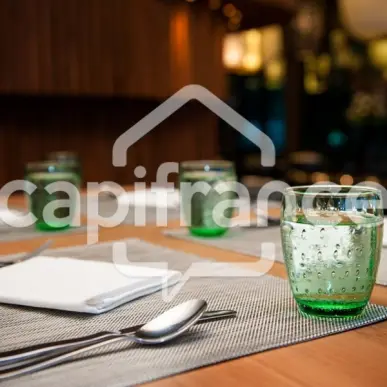 Vente - Restaurant - Aix-les-Bains (73100)-photo-2