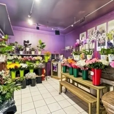Vente - Fleuriste - Colombes (92700)-photo-7