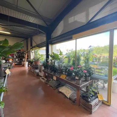Vente - Jardinerie - Carcassonne (11000)-photo-2