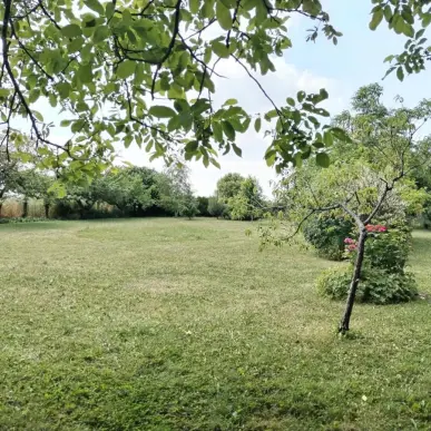 Vente Terrain ZI / ZA - Chevry-en-Sereine (77710)-photo-6