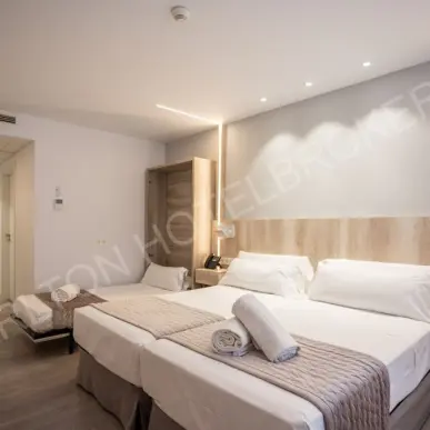 Vente - Hôtel - Loire (42)-photo-4