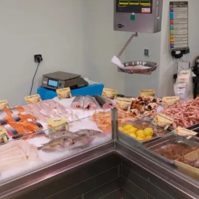 Vente - Poissonnerie - Briec (29510)-photo-2