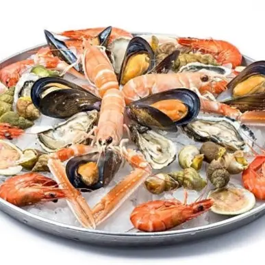 Vente - Poissonnerie - Royan (17200)-photo-6
