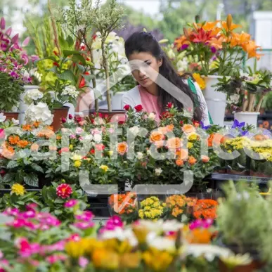 Vente - Fleuriste - Toulouse (31000)-photo-1