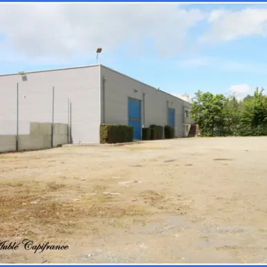 Vente Entrepôt / Local d'activités - Change (72560)-photo-4
