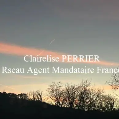 Vente Terrain ZI / ZA - Lorgues (83510)-photo-4