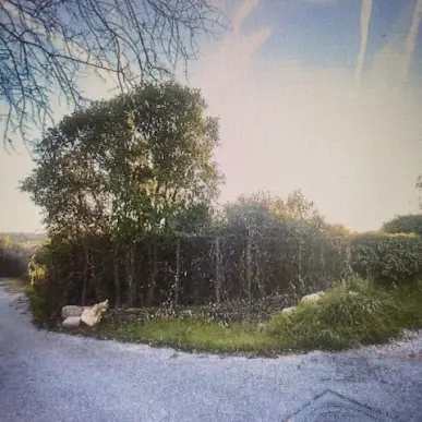 Vente Terrain ZI / ZA - Lorgues (83510)-photo-7