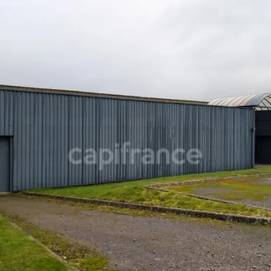 Vente Entrepôt / Local d'activités - Randonnai (61190)-photo-2