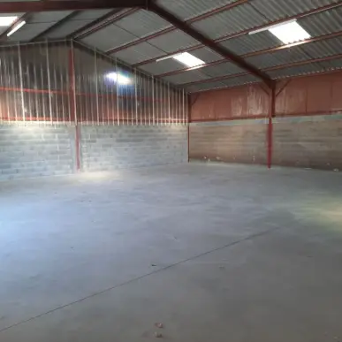 Location Entrepôt / Local d'activités - Tarn (81)-photo-4