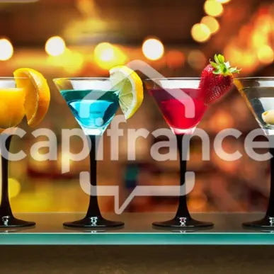 Vente - Bar - Restaurant - Glacier - Pyrénées-Orientales (66)-photo-2