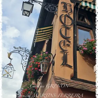 Vente - Hôtel - Restaurant - Loiret (45)-photo-2