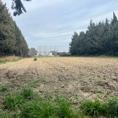 Vente Terrain ZI / ZA - Vaucluse (84)-photo-3