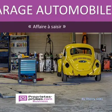 Vente - Centre automobile - Garage - Mécanique - Rhône (69)-photo-1