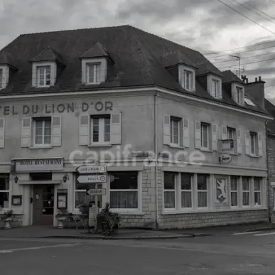 Vente - Hôtel - Restaurant - Avoine (61150)-photo-1