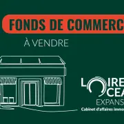 Vente - Electroménager - Vannes (56000)