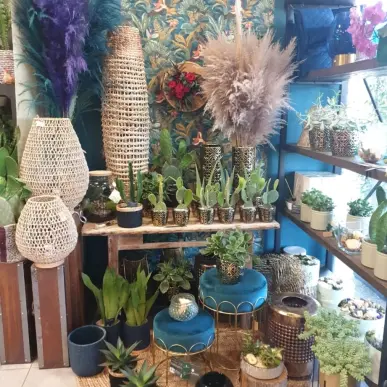 Vente - Décoration - Fleuriste - Jardinerie - Saint-Laurent-des-Arbres (30126)-photo-2
