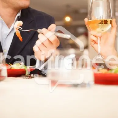 Vente - Restaurant - Aix-les-Bains (73100)-photo-4