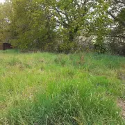 Vente Terrain ZI / ZA - Elliant (29370)