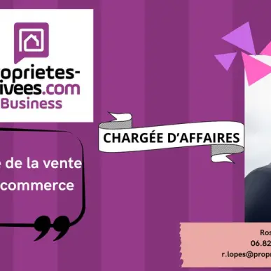 Vente - Services informatiques - Ille-et-Vilaine (35)-photo-2