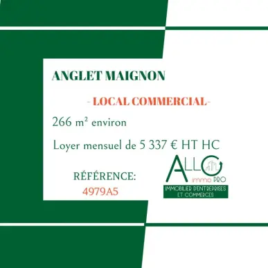 Location Local Commercial - Anglet (64600)-photo-5
