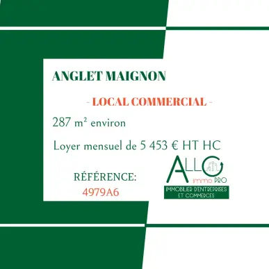 Location Local Commercial - Anglet (64600)-photo-4