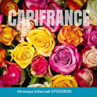 Vente - Fleuriste - Nord (59)-photo-1