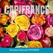 Vente - Cadeaux souvenirs - Fleuriste - Nord (59)