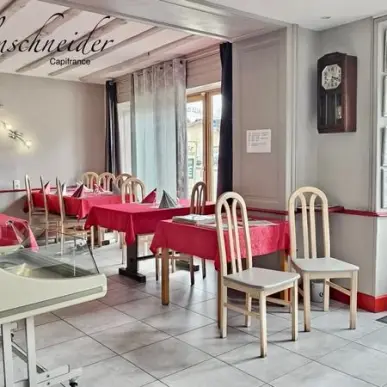Vente - Bar - Restaurant - Tabac - Auberge - FDJ - Chanaz (73310)-photo-6