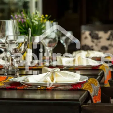 Vente - Restaurant - Mouilleron-le-Captif (85000)-photo-3
