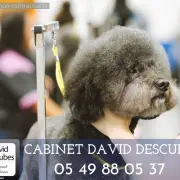 Vente - Salon de toilettage - Poitiers (86000)