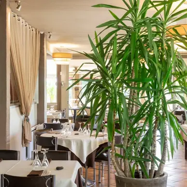 Vente - Hôtel - Restaurant - Gondrin (32330)-photo-2
