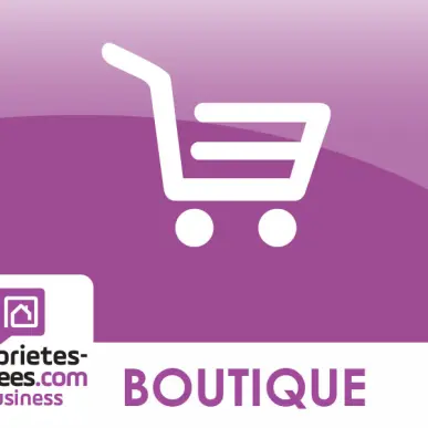 Vente - Décoration - Côte-d'Or (21)-photo-1