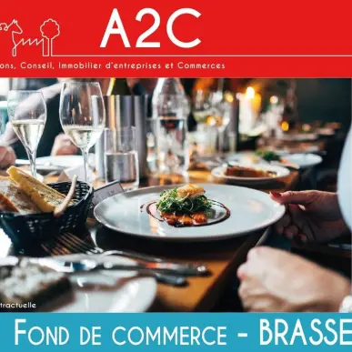 Vente - Bar - Brasserie - Restaurant - Licence IV - Chasnais (85400)-photo-5