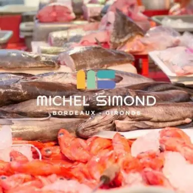 Vente - Restaurant - Poissonnerie - Gironde (33)-photo-1