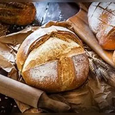 Vente - Boulangerie - Pâtisserie - Gers (32)-photo-2