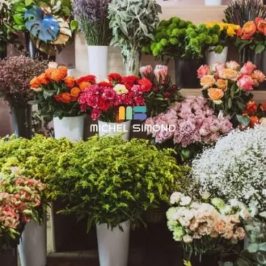 Vente - Fleuriste - Calvados (14)-photo-2