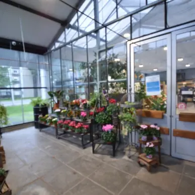 Vente - Fleuriste - Digoin (71160)-photo-3