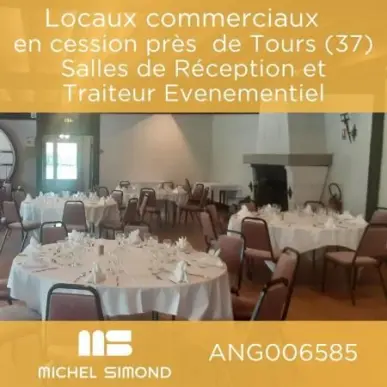 Location Local Commercial - Indre-et-Loire (37)-photo-5