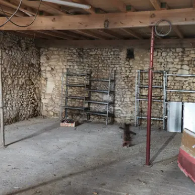 Vente Entrepôt / Local d'activités - Mosnac (17240)-photo-2