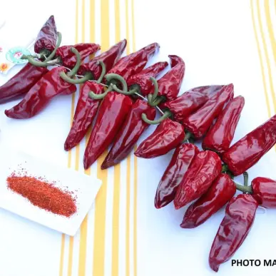 Vente - Alimentation - Epicerie - Gironde (33)-photo-7