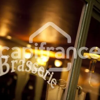 Vente - Bar - Brasserie - Restaurant - Aix-les-Bains (73100)-photo-1
